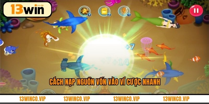 Cách nạp nguồn vốn vào ví cược nhanh