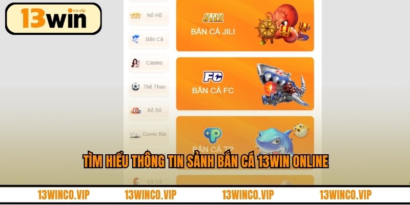 Tìm hiểu thông tin sảnh bắn cá 13WIN online