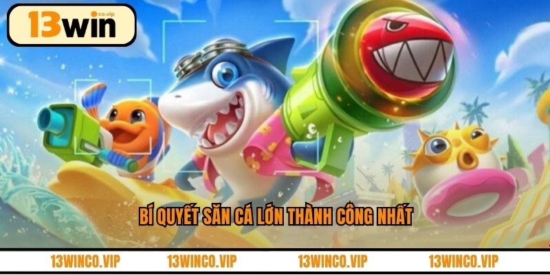 Bí quyết săn cá lớn thành công nhất