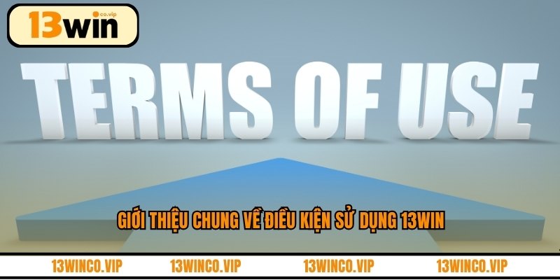 Giới thiệu chung về điều kiện sử dụng 13WIN