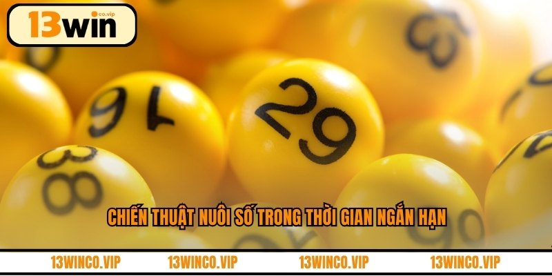Chiến thuật nuôi số trong thời gian ngắn hạn