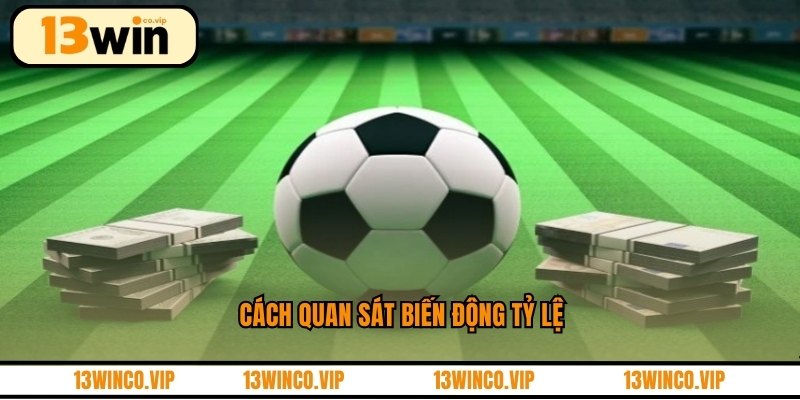 Cách quan sát biến động tỷ lệ
